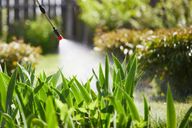 24/7 Emergency Cockroach Control experts in Metter, GA